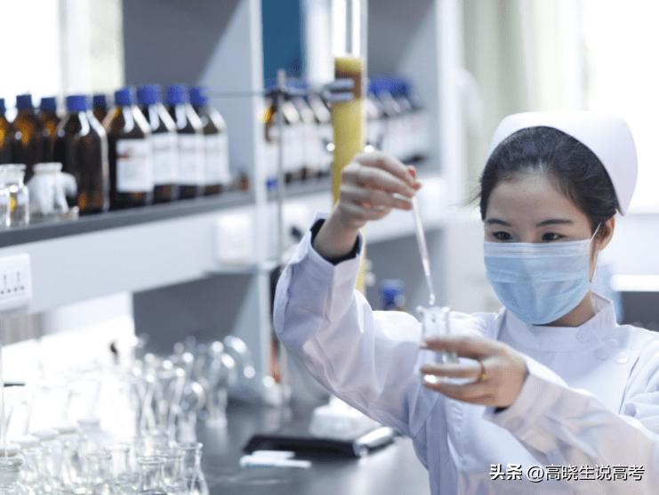 2023高考热门专业排行榜,2023高考志愿填报专业指导