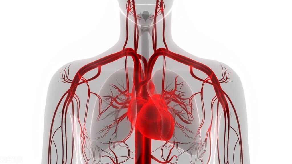检查出窦性心律不齐啥意思啊,体检时显示窦性心律不齐什么意思