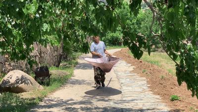 五一秦皇岛小众旅游,秦皇岛一日游最值得去的地方