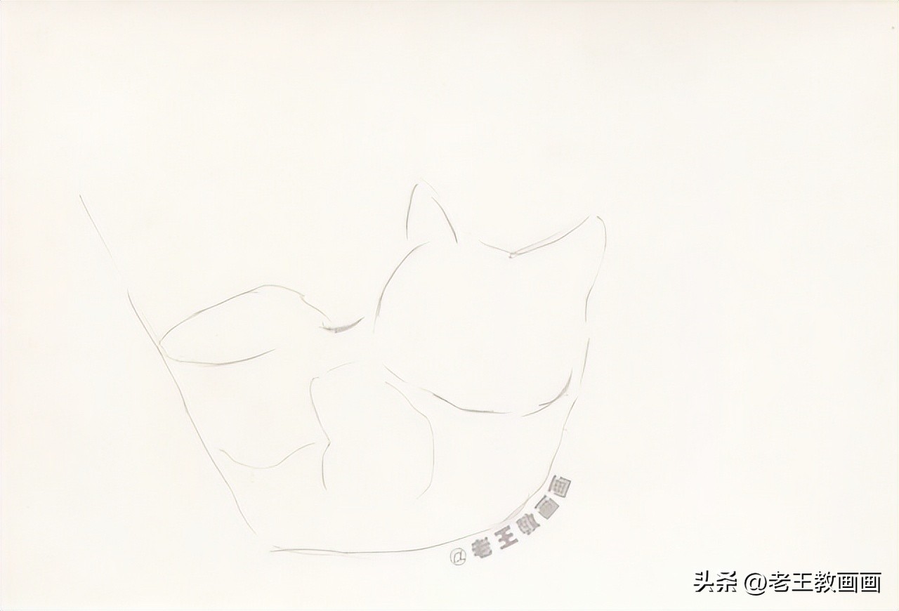 彩铅零基础入门学画猫咪,彩铅画教程入门零基础猫咪