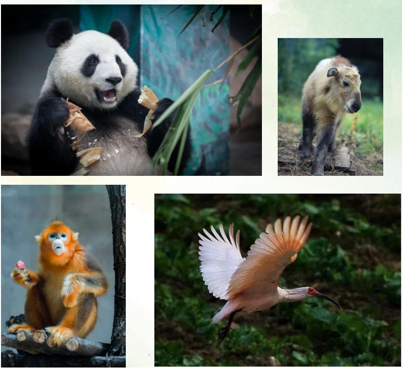 周末去哪玩推荐沈阳,周一游玩沈阳攻略