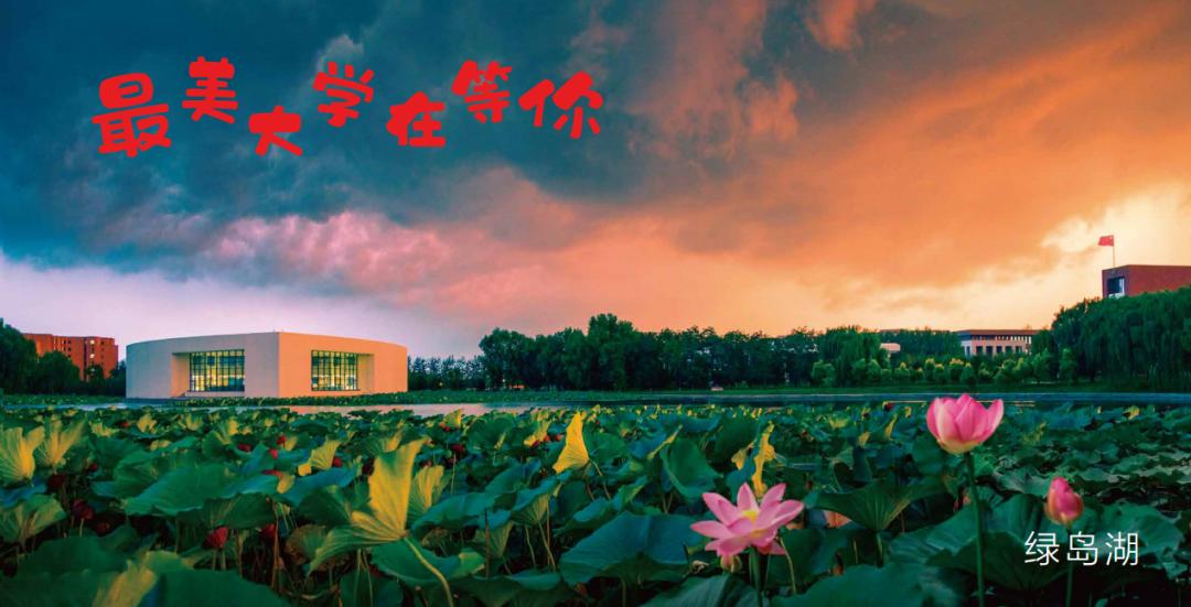 沈阳城市学院2024年招生章程,沈阳城市学院招生简章2024