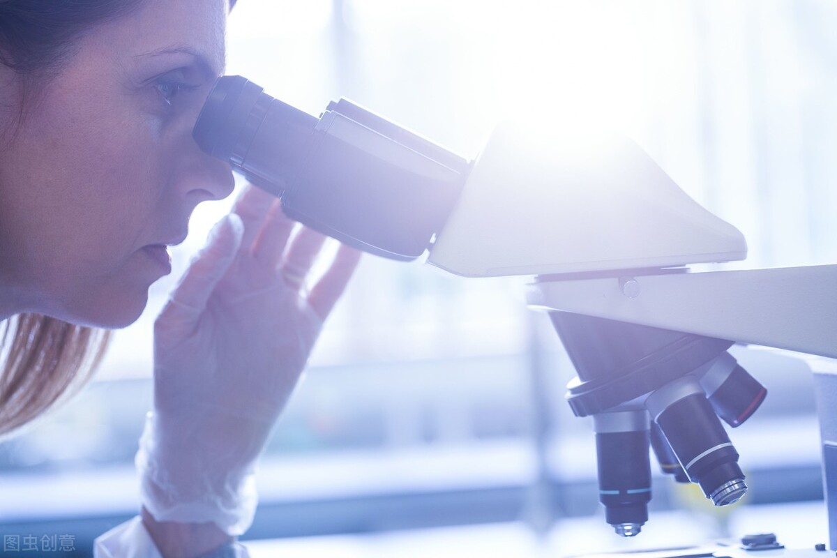 博士的知识体系,怎样形成自己的知识体系