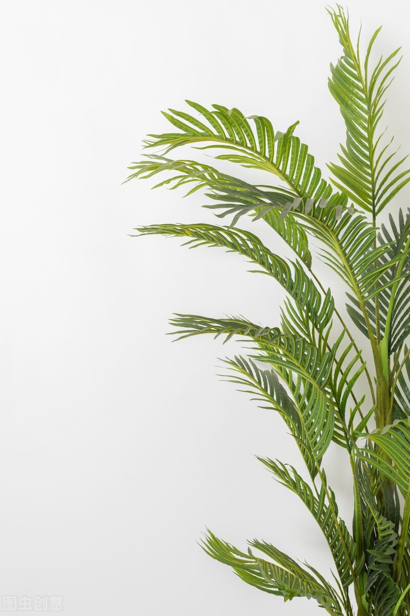 新手零基础学习花店,新手小白如何做线上花店