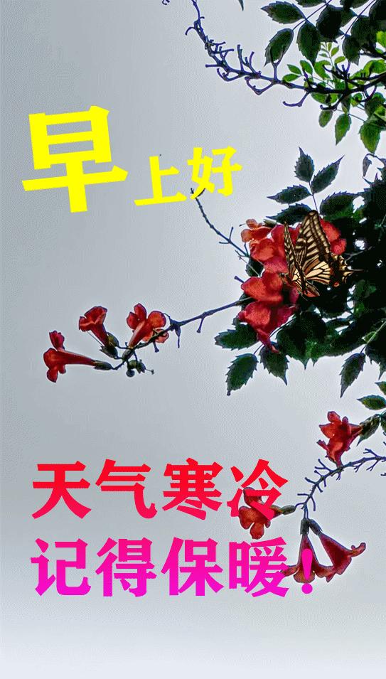 早晨好表情图片大全大图,下雨天的早晨好动态表情图片