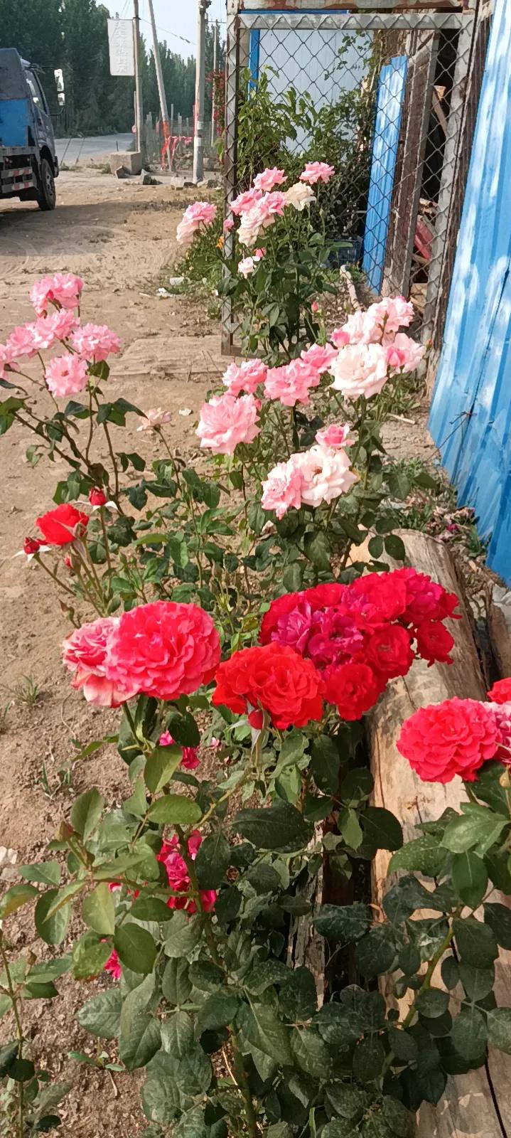 有声书怎么赚钱呢,有声书怎么赚外快