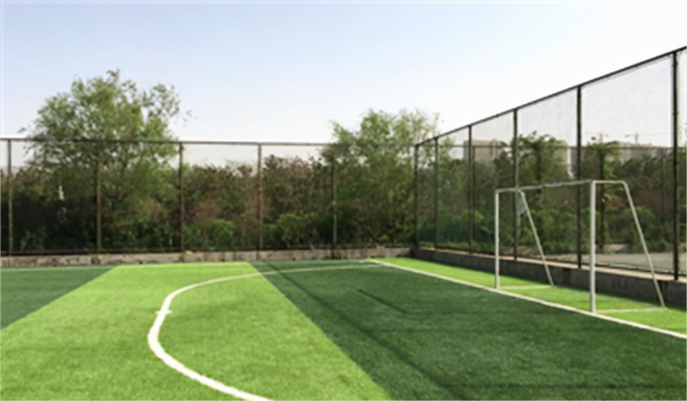 足球场地草坪颜色深浅,足球场地草坪为什么深浅不一