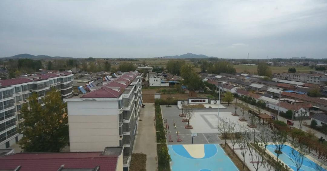 临沭：乡村蝶变入画来