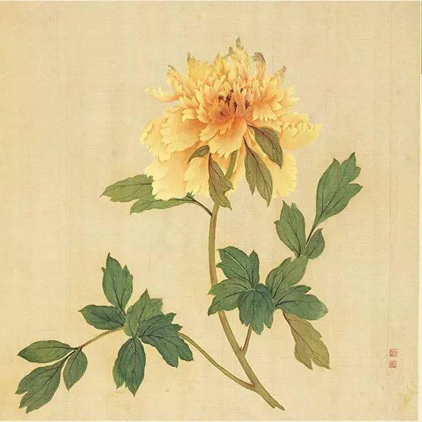 蒋廷锡牡丹画法,蒋廷锡百种牡丹画法