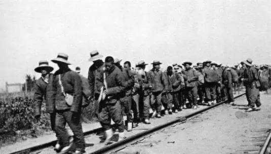 东南亚远比你想象中更可怕：电击、水牢、吃屎，挖器官不打麻药