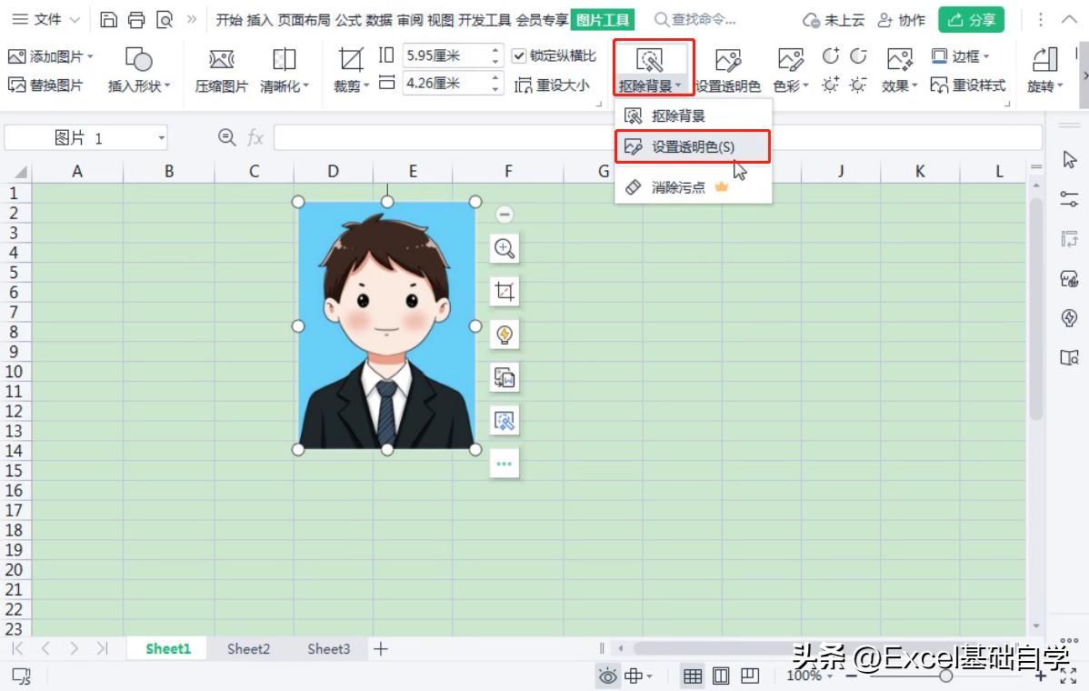 wps表格有底色,wps单元格底色