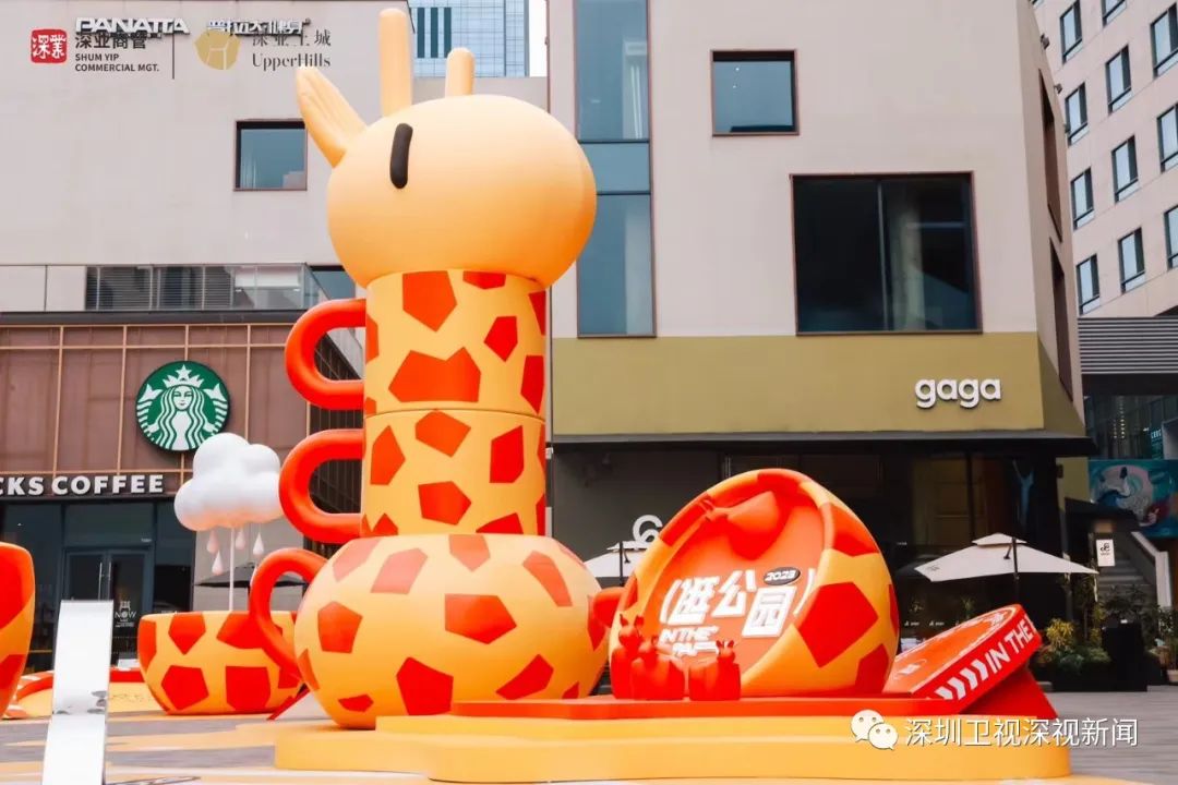 爱搞钱的深圳女性,爱搞钱的深圳