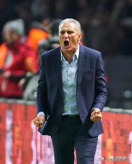 世界杯最厉害的主教练,世界杯最帅足球教练