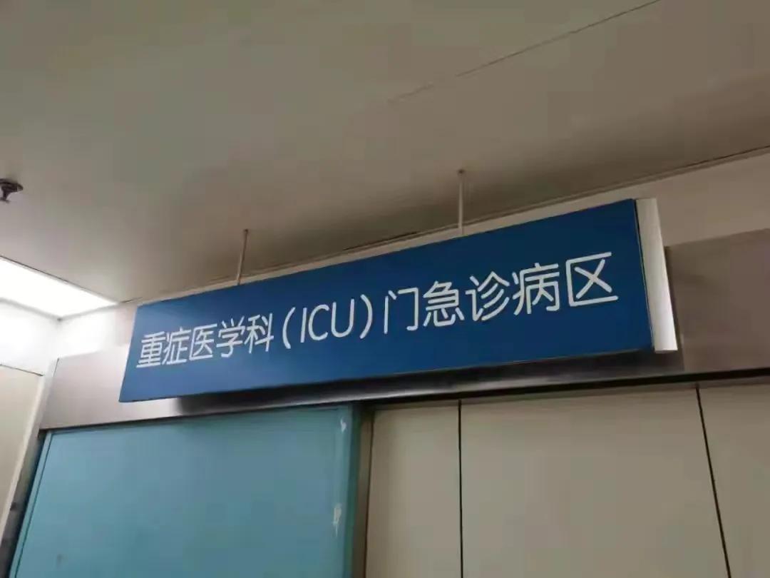 爬山遇到黑熊袭击,男子被黑熊攻击