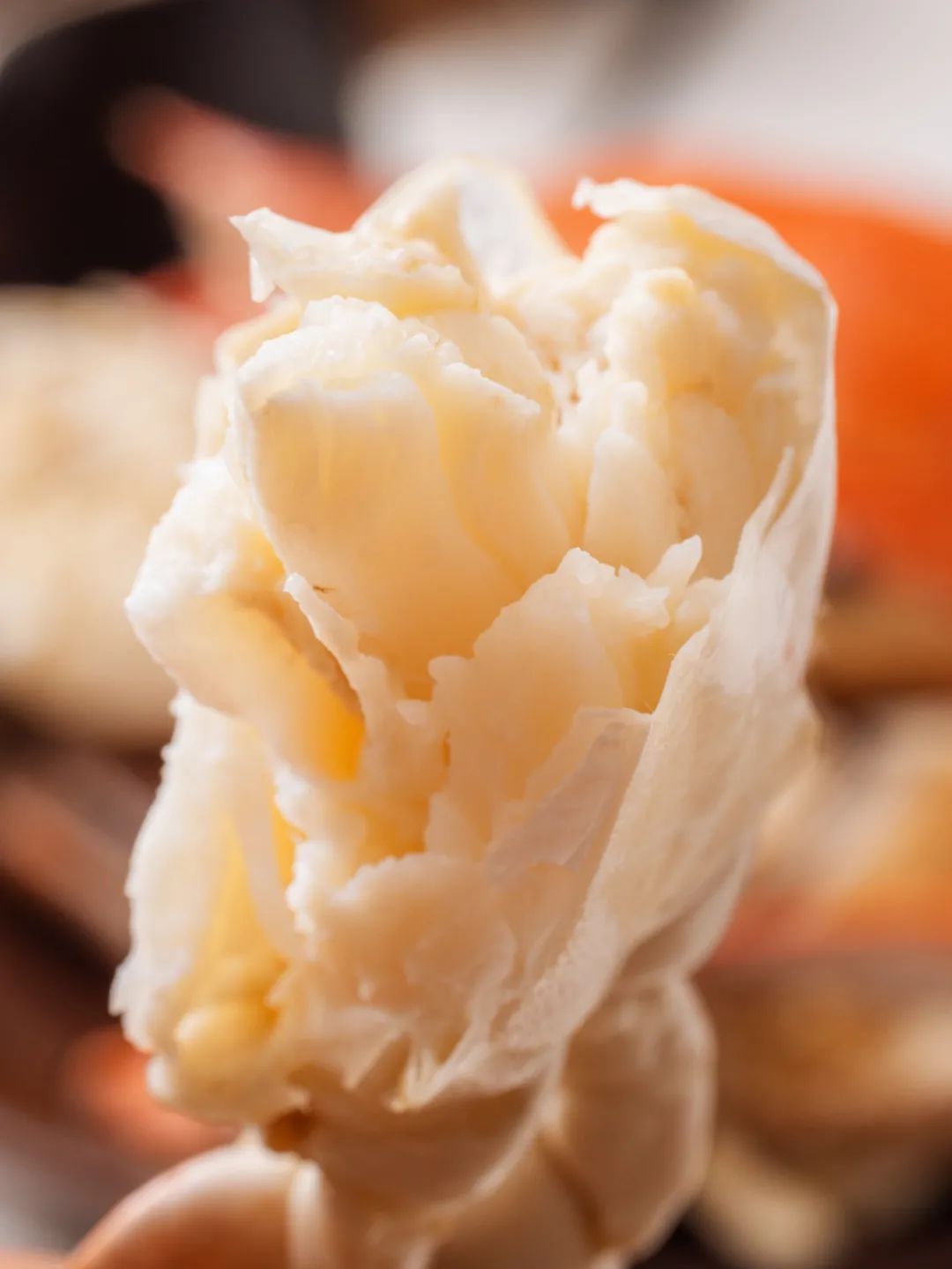 扁蟹的市场销售价格,扁蟹出口哪个国家