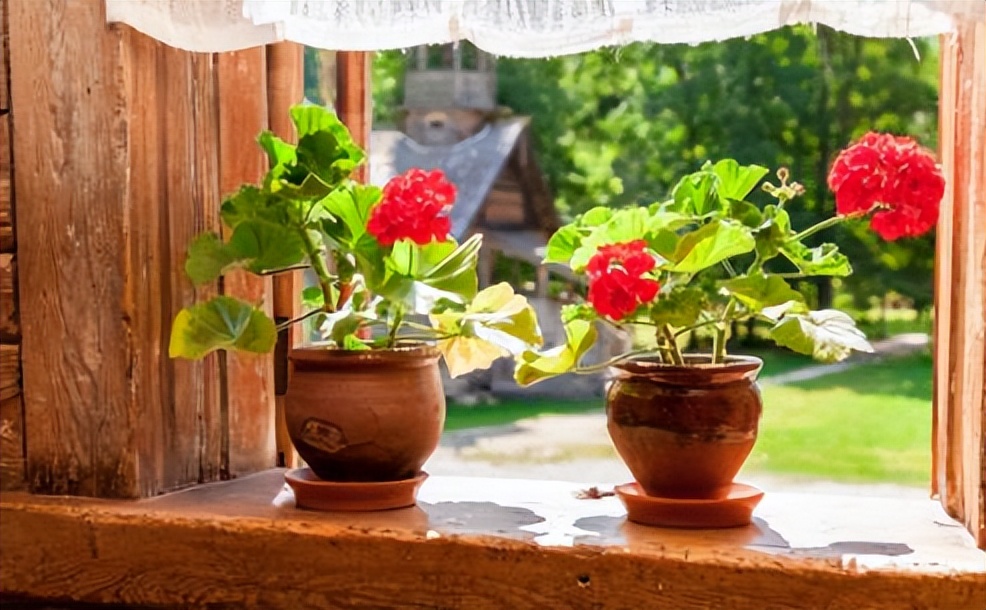 快过年了，五六十岁的人，不管有钱没钱，都要做好以下几种准备