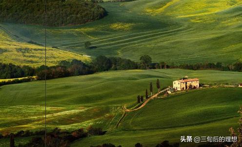 有机农业定义及现状,国内有机农业如何发展