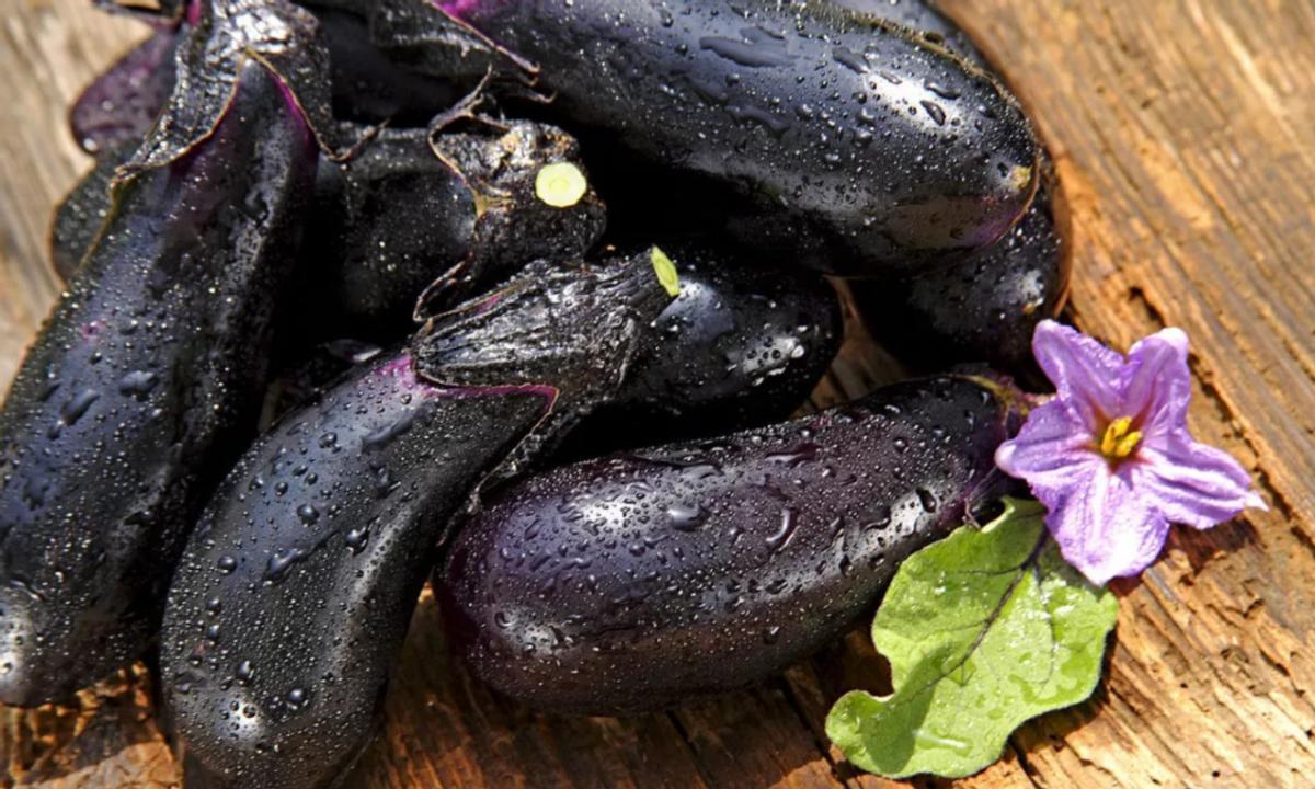 眼睛干涩建议补充什么营养素,眼睛干涩视力模糊吃什么营养品