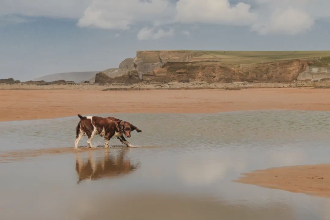 总是想很多事情好多年了,一个人总是想太多是什么原因