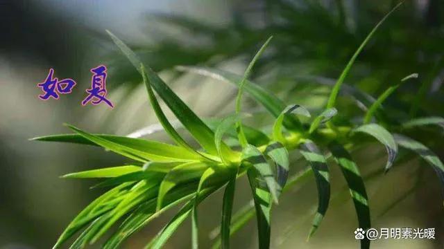 网上申请信用卡安全吗,怎么安全办理信用卡