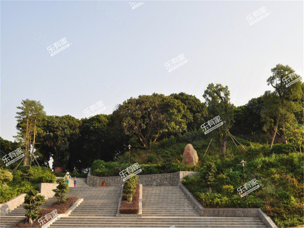 伴山特价房49万,深圳伴山伴海二手房