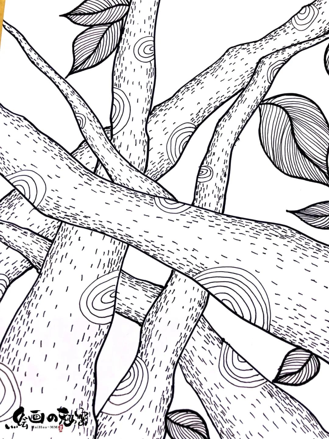 生气的蜗牛,宝宝蜗牛和水牛吵架打架