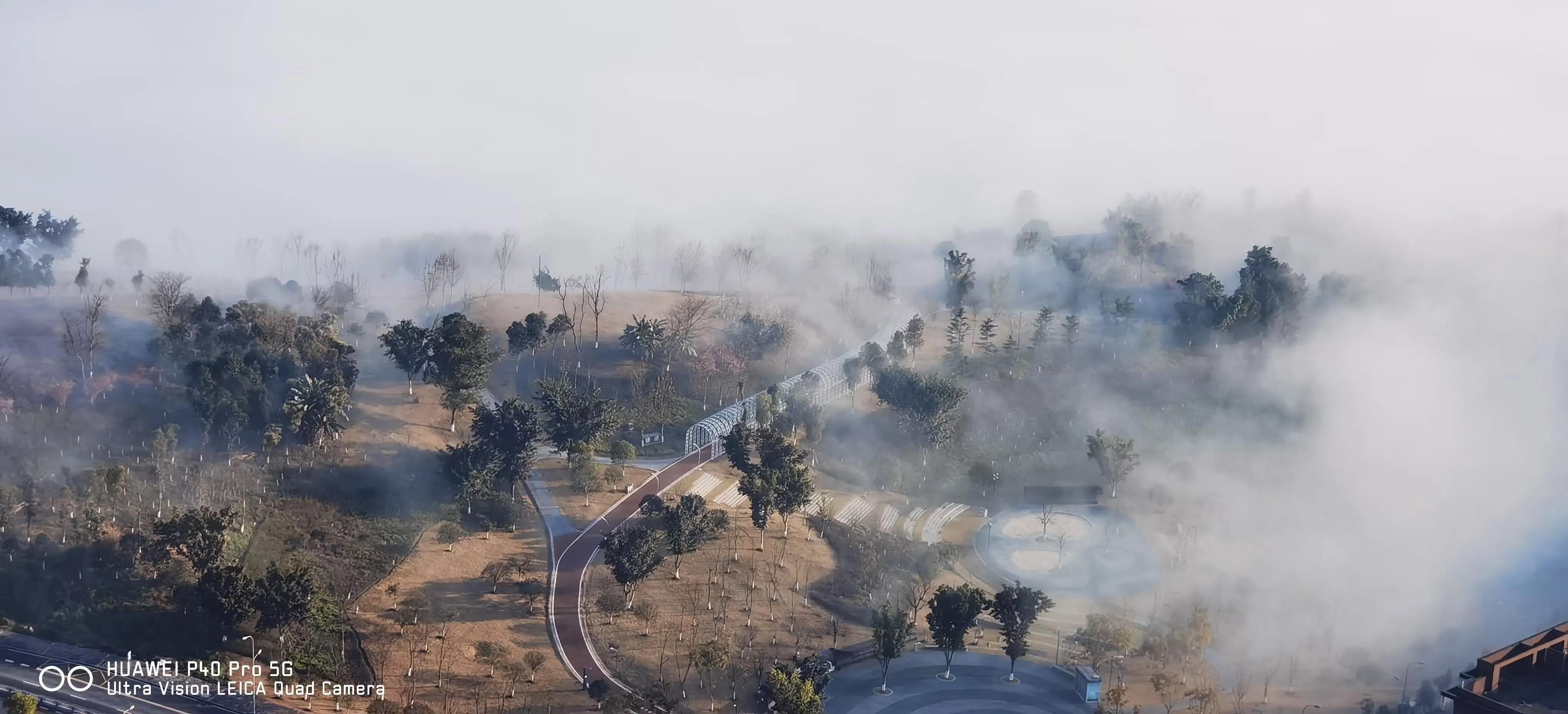 名著速读完整版有3本,名著速读国外篇