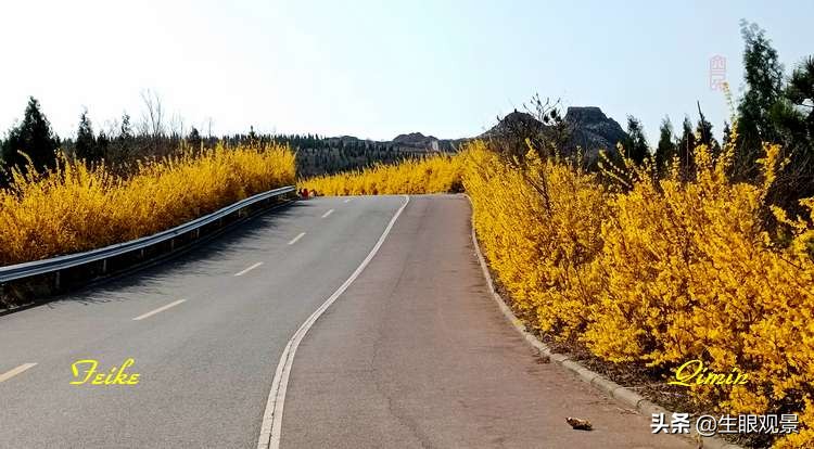 北京近郊春景,济南近郊春景