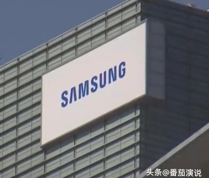 三星电子道歉事件,三星电子被起诉后果