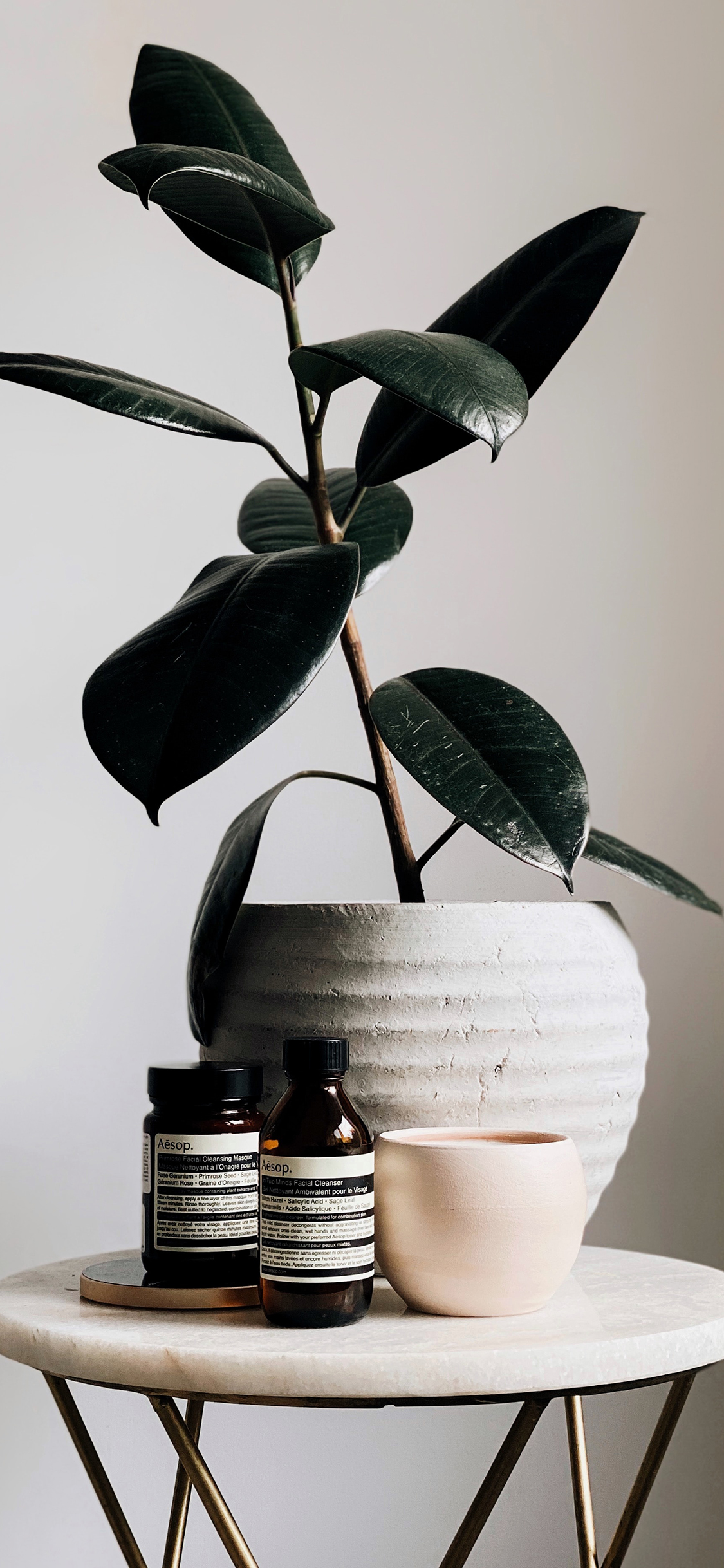 2023年手机壁纸,2023年最新款超清手机壁纸