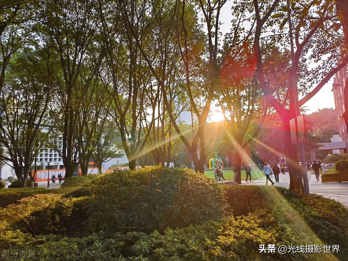 重庆邮电大学：三非院校翘楚，本科毕业进华为，月入过万不是梦