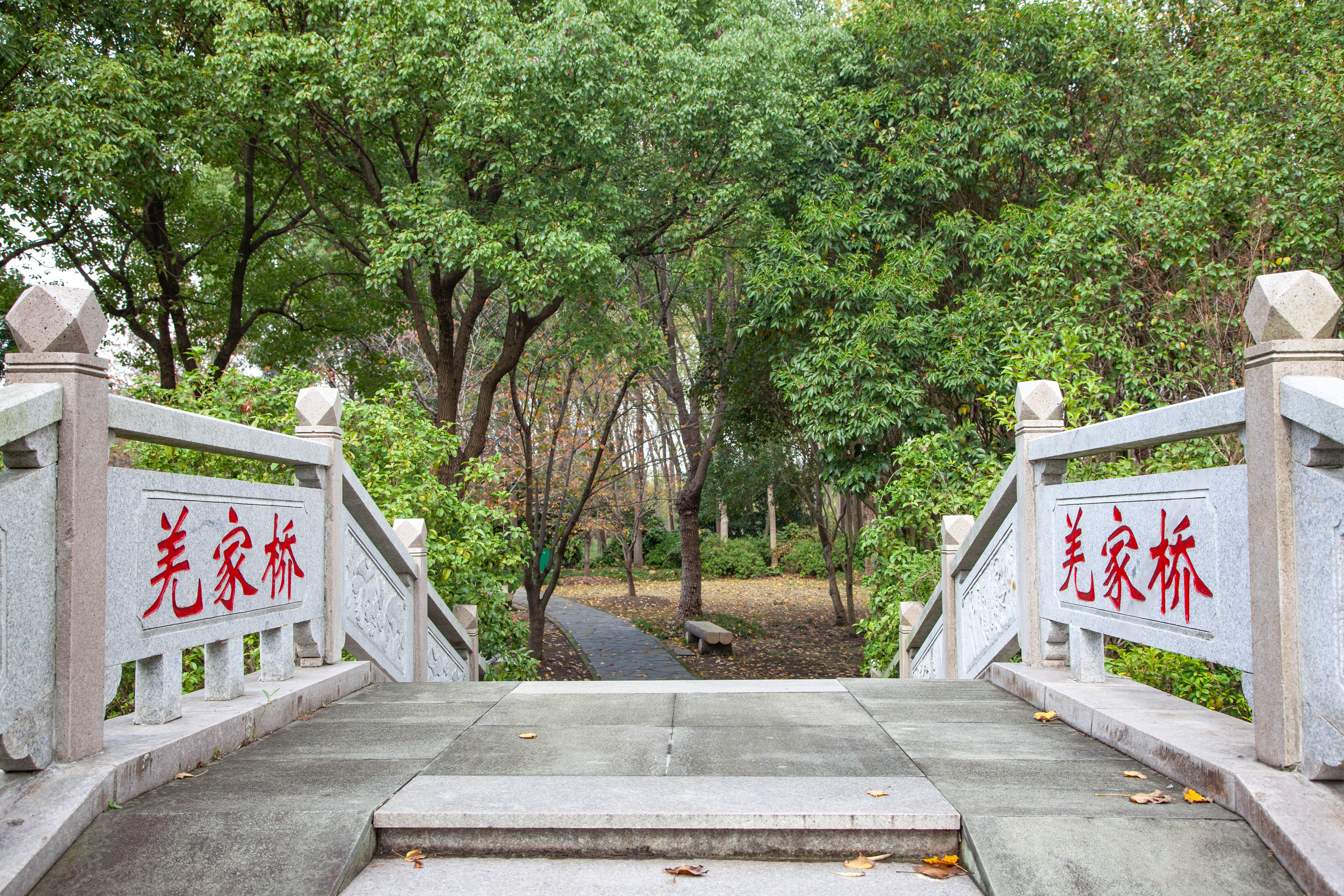 宝山顾村历史,上海宝山顾村老街