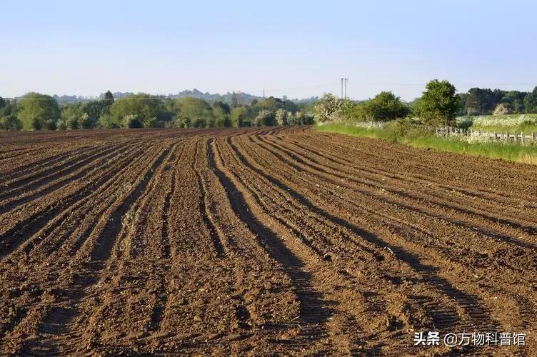 云南省关于禁止使用红砖的通告,红砖被禁止现在建房用什么砖