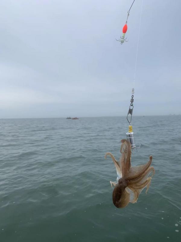 渤海海钓推荐,海钓体验游玩攻略