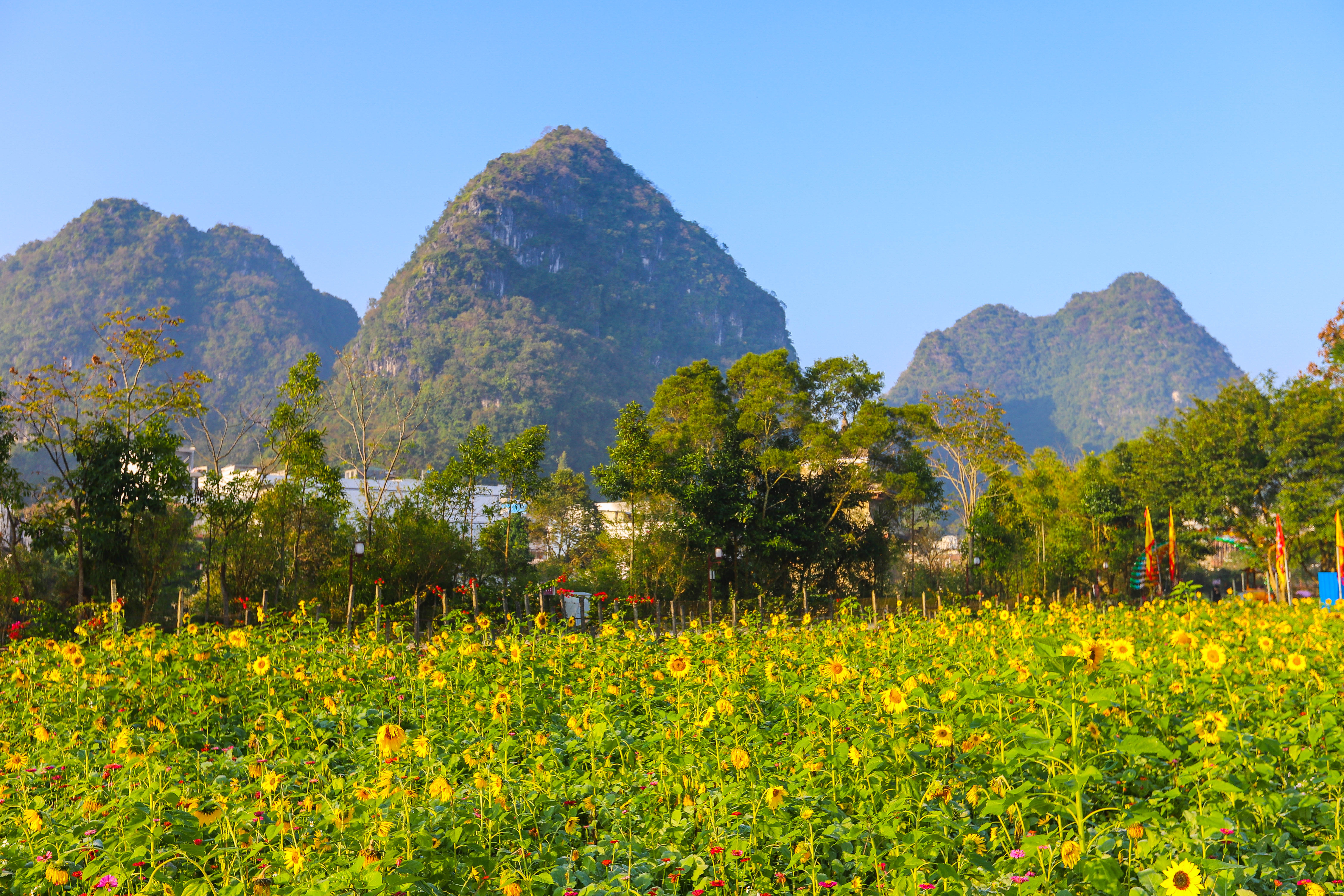 广西最美的旅游小镇,广西春天赏花