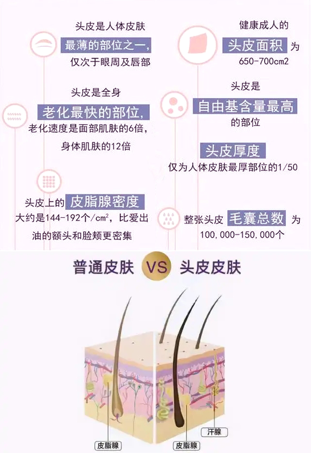 为什么头皮比脸皮薄,皮肤头皮出油