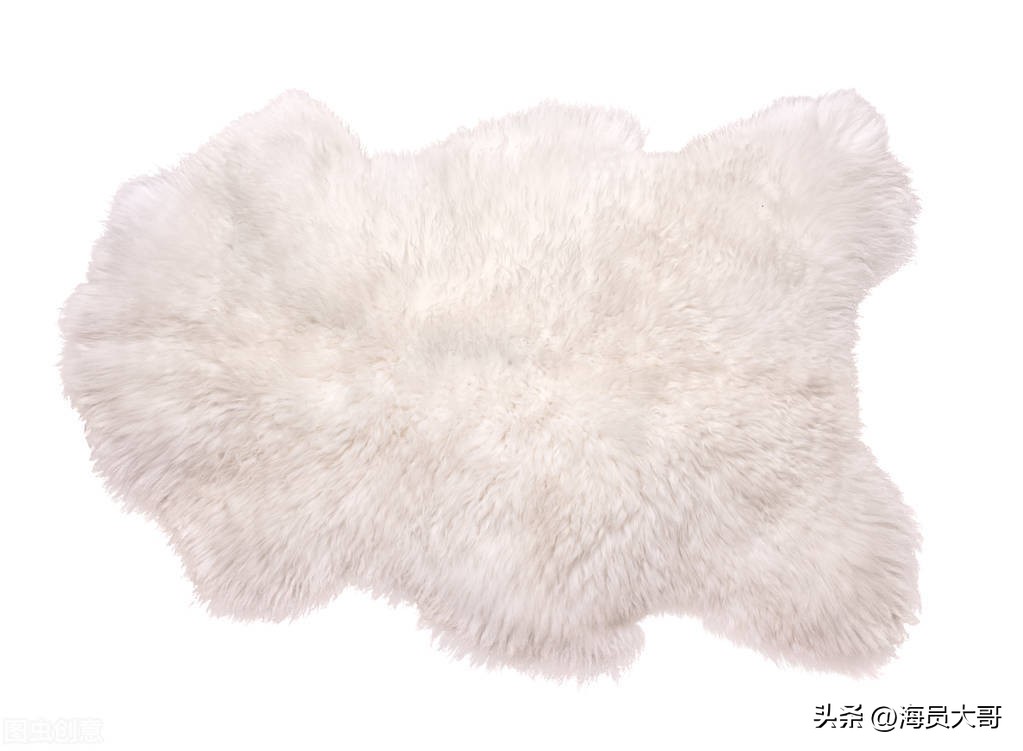 我在新西兰体验当地人的生活，在漂流瓶遇上女留学生，从事性工作