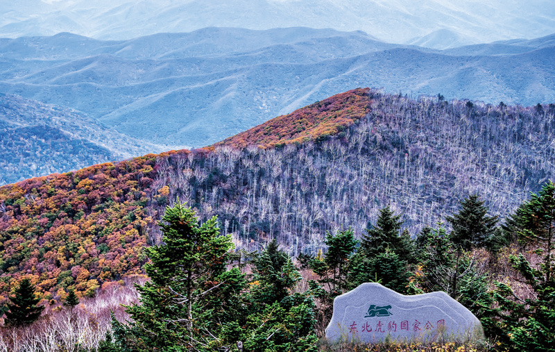 国家公园现状,国家公园与生物多样性