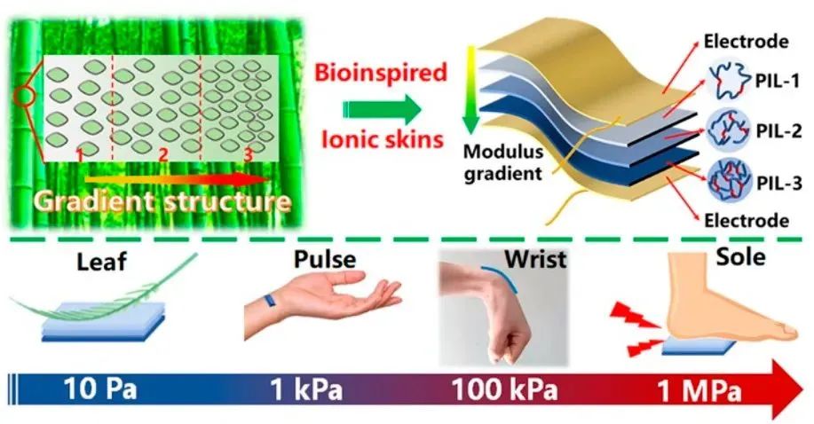 健康人群的心脏骤停与PM2.5浓度升高相关，神经假体能帮助失语者“说话”|国际科研周报
