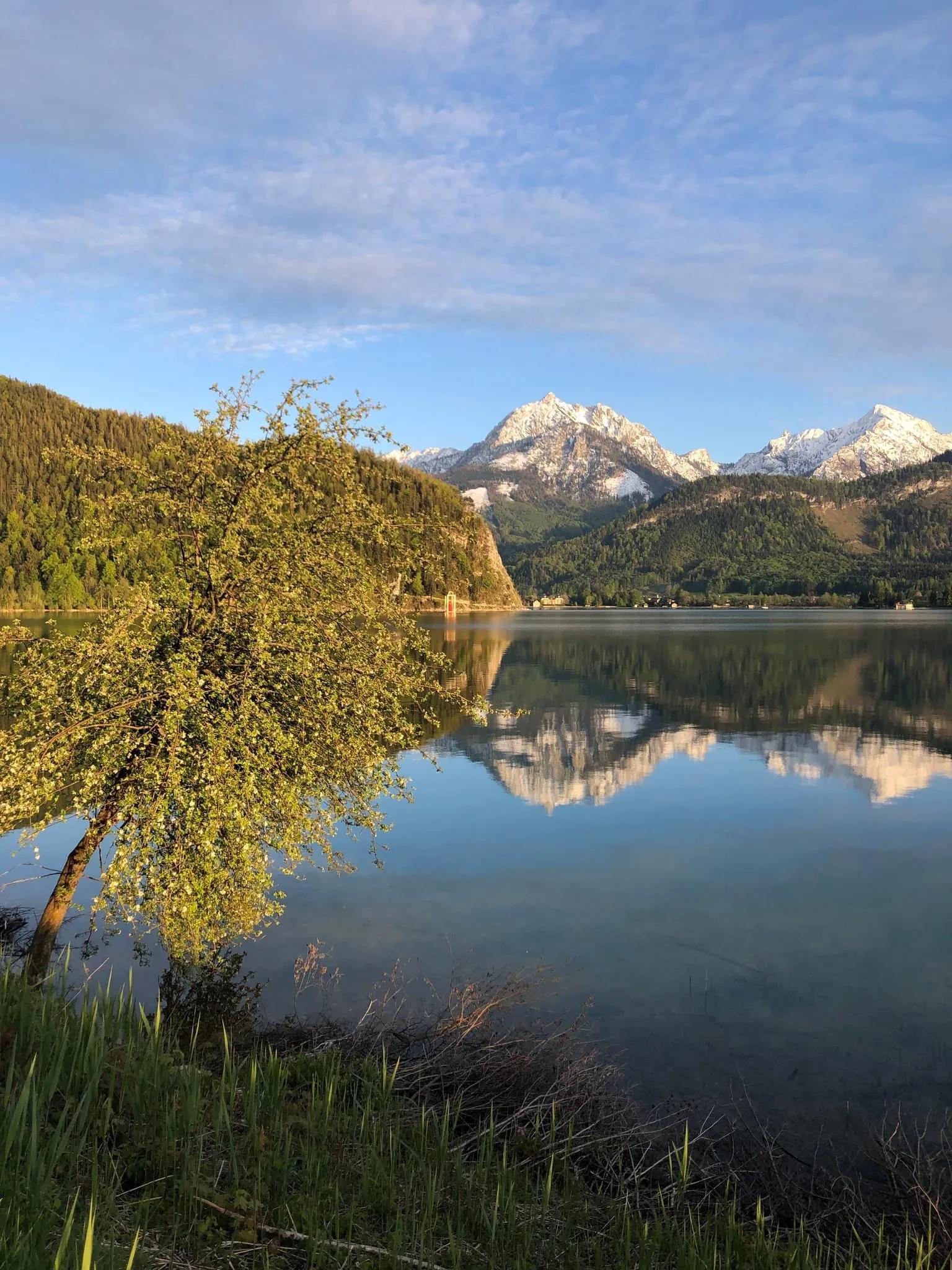 灵魂伴侣你值得拥有吗,灵魂伴侣头条观影