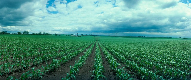 全球气候变化对农业的影响和对策,气候变化对农业生产的影响