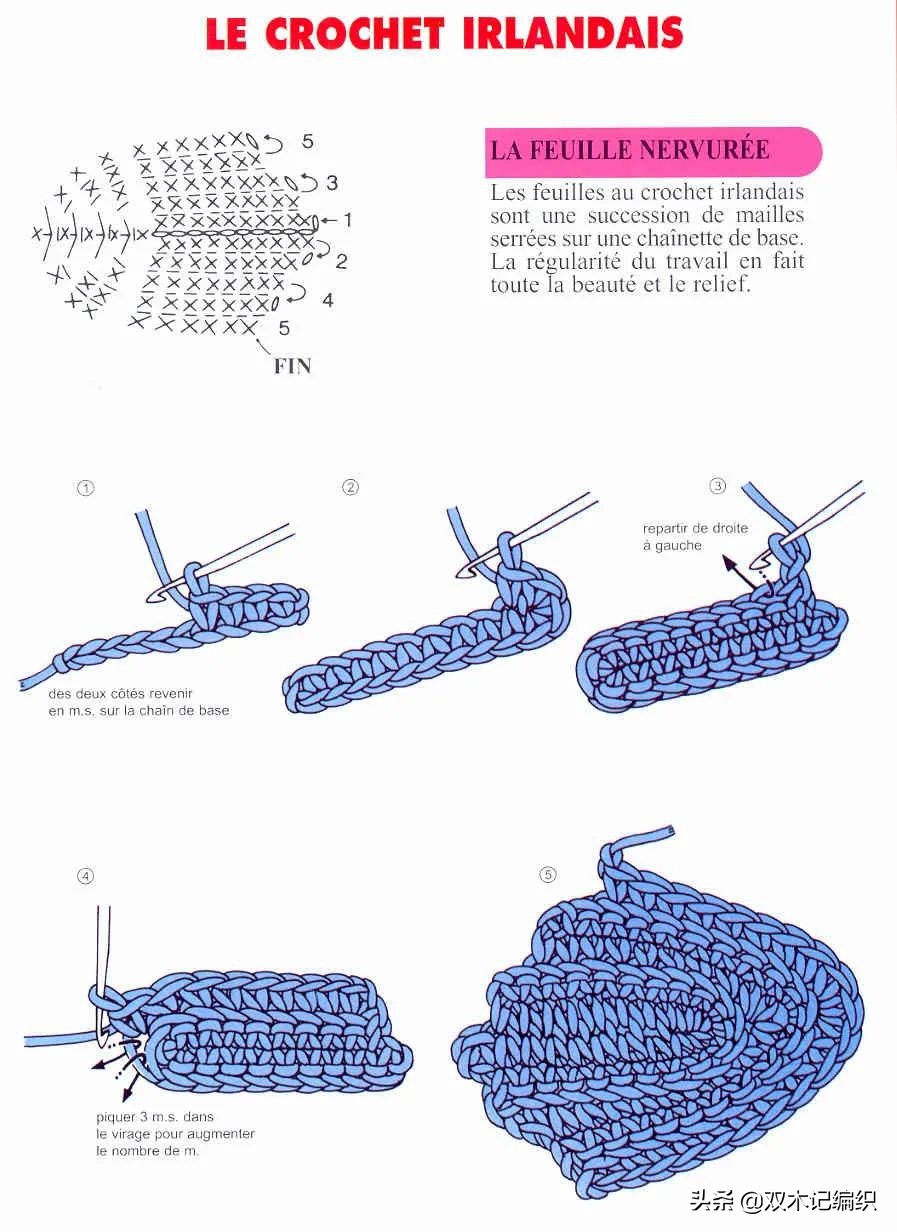 爱尔兰花和叶子大全，最令人心动的钩编之法