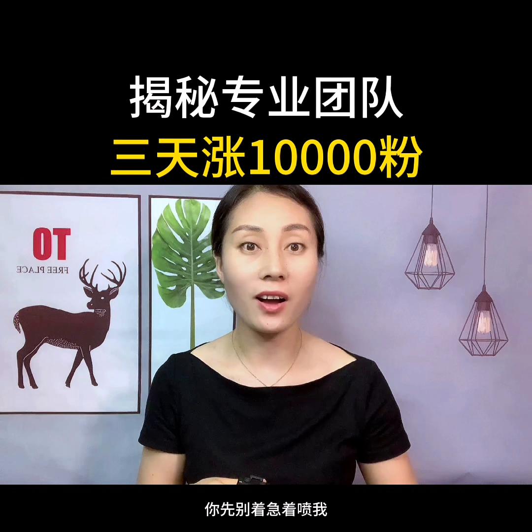 自媒体挑战涨粉过万,新人自媒体涨粉