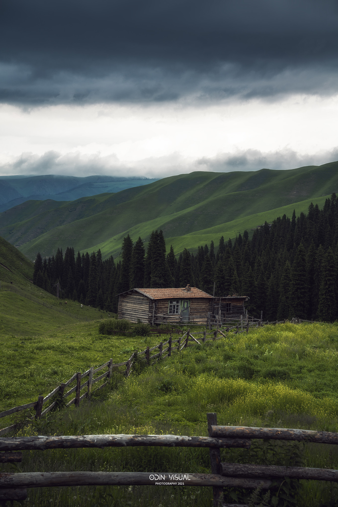 新疆伊犁之美,走了一圈才发现世界万物远不及你