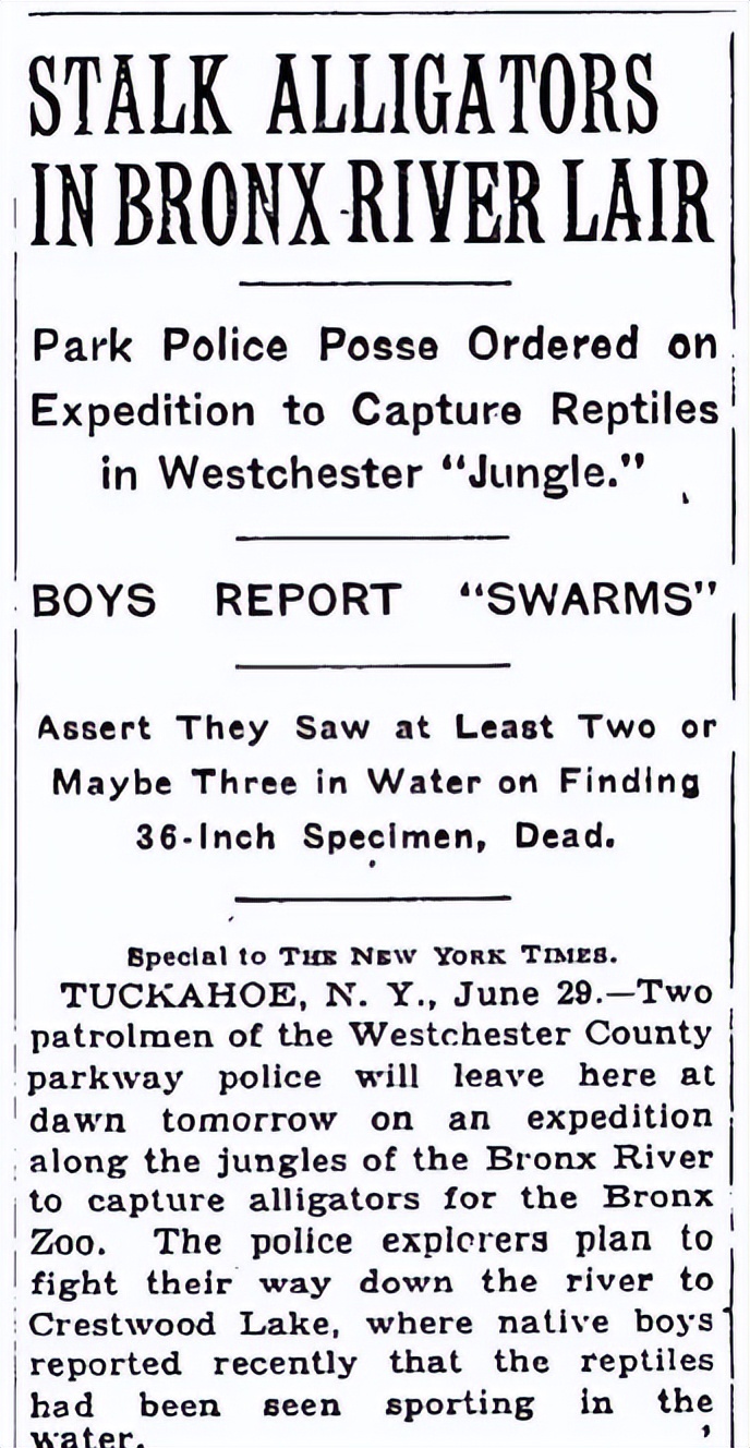 任天堂游戏特点,为什么说任天堂才是真正的游戏