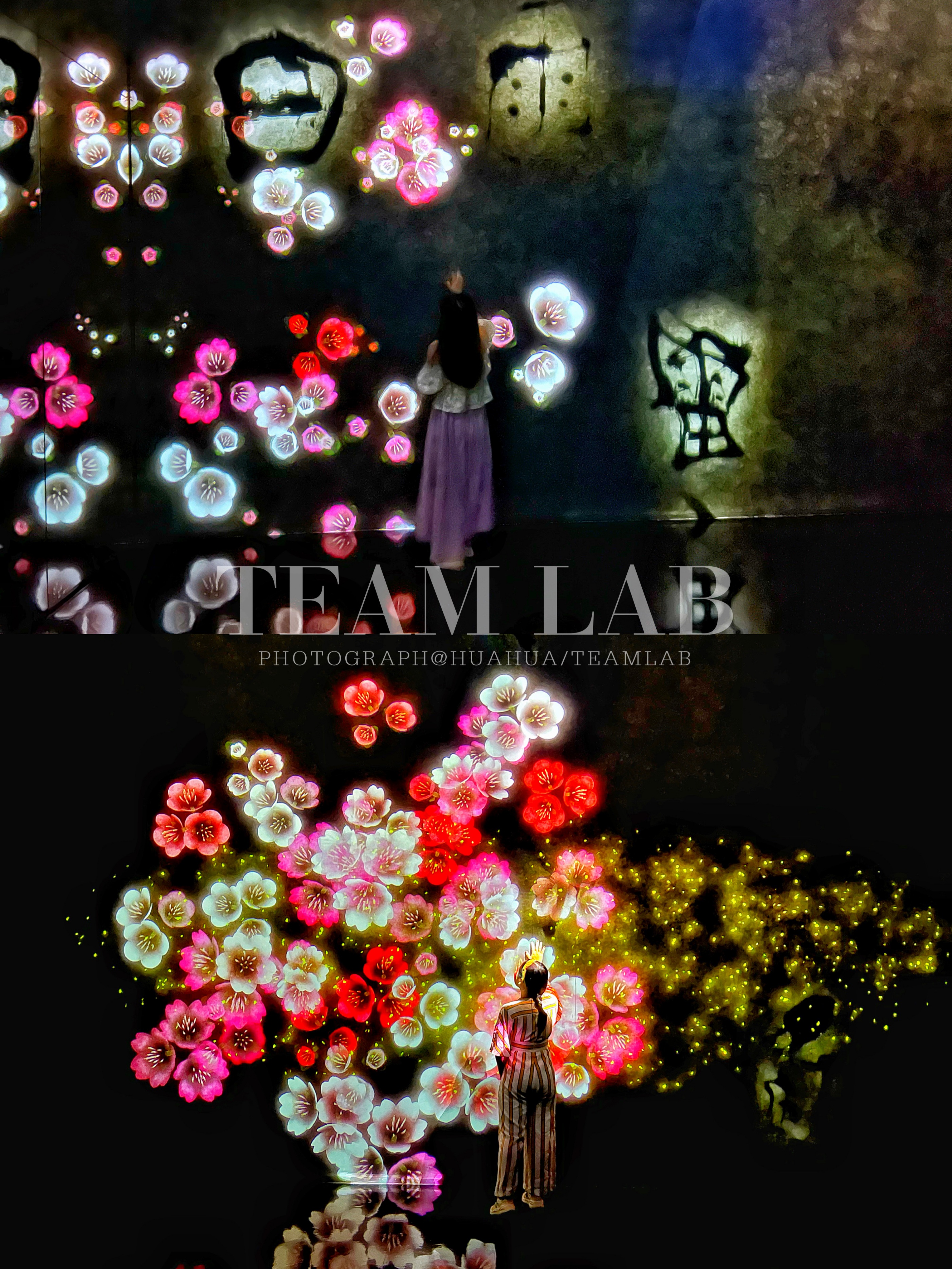 澳门5天4夜旅游攻略,澳门旅游攻略自由行3天