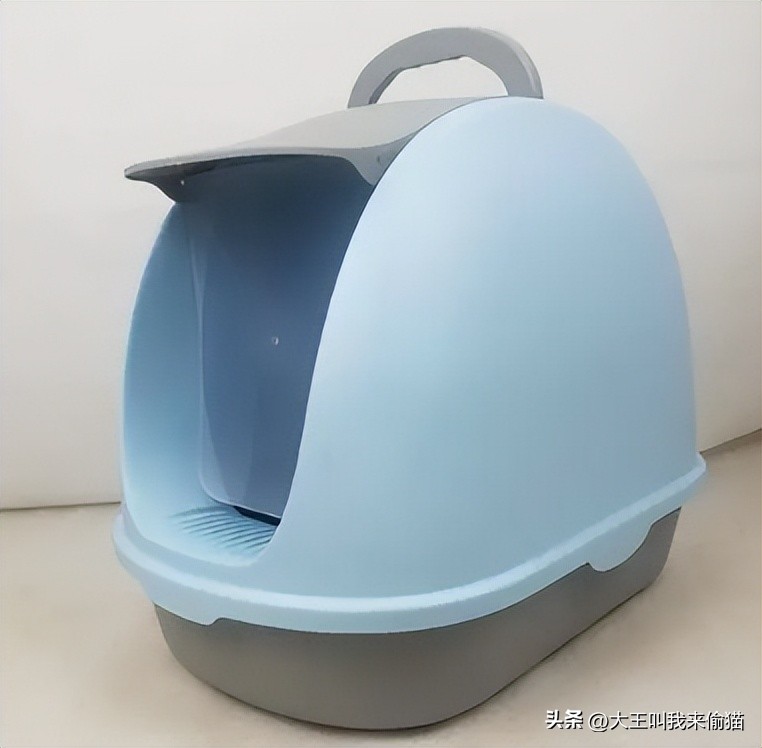 新手养猫猫砂怎么选购,新手养猫猫砂倒在哪里比较好