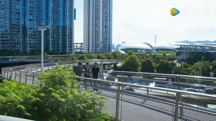 年度热剧2019,年度好剧开端