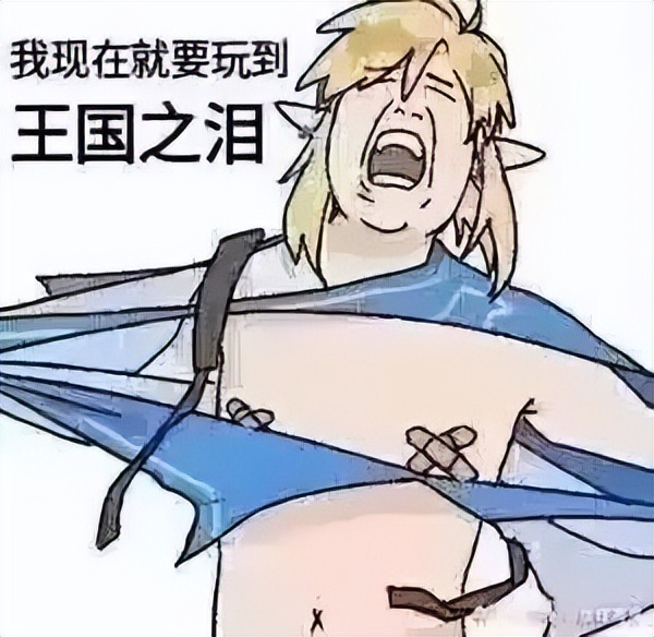 switch王国之泪和新switch,switch主机更新了王国之泪