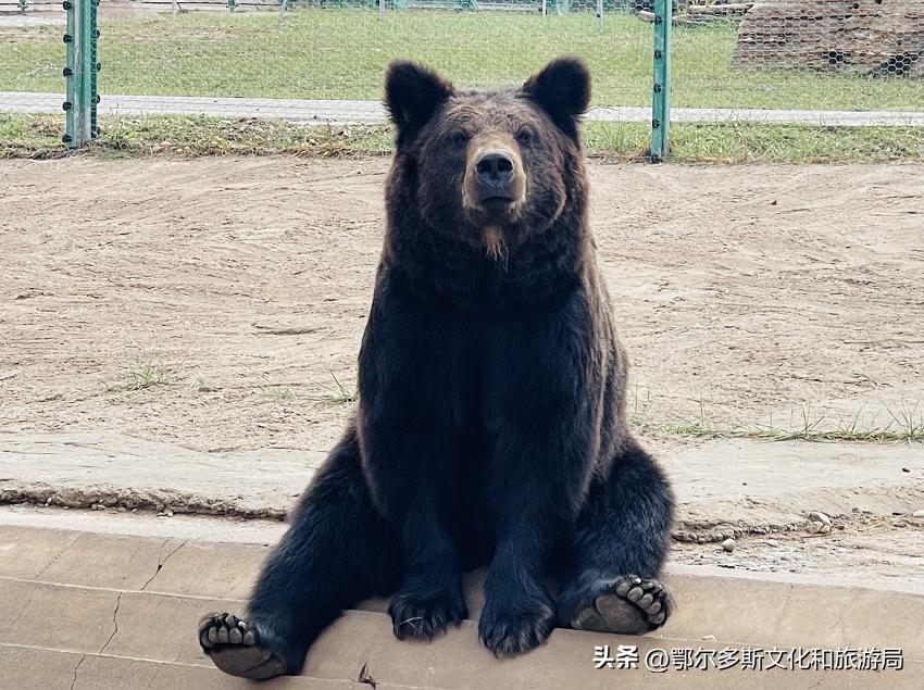 三月份去踏青旅游攻略,踏青赏春旅游攻略